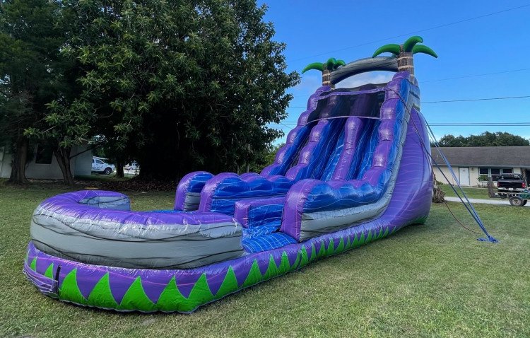 22' Purple Crush Dual Lane Waterslide